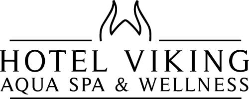 cropped-cropped-logo_Hotel_viking_2017-1_sort-1